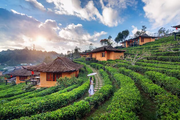 Darjeeling Lepchajagat