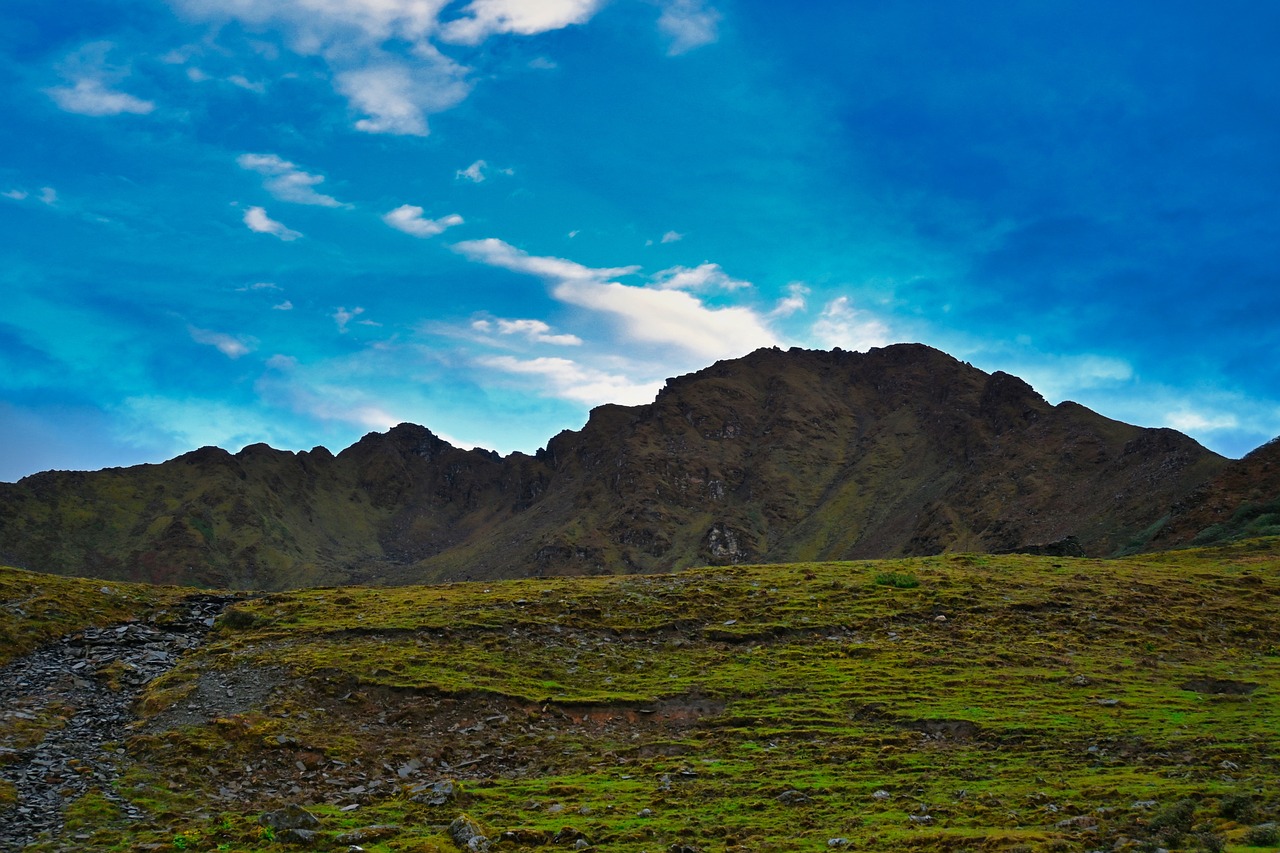 PELLING RINCHENPONG BORONG Tour Package